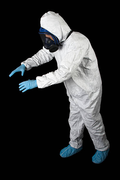 Best Asbestos and Lead Testing During Mold Inspection  in Matteson, IL