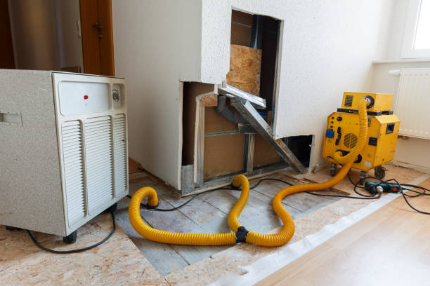 Best HVAC Mold Inspection and Cleaning  in Matteson, IL